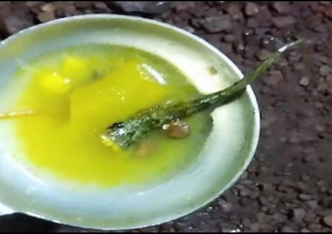 छिपकली गिरे भोजन खाने से बड़ी संख्या में बच्चे बीमार, जानिए कहां का है मामला