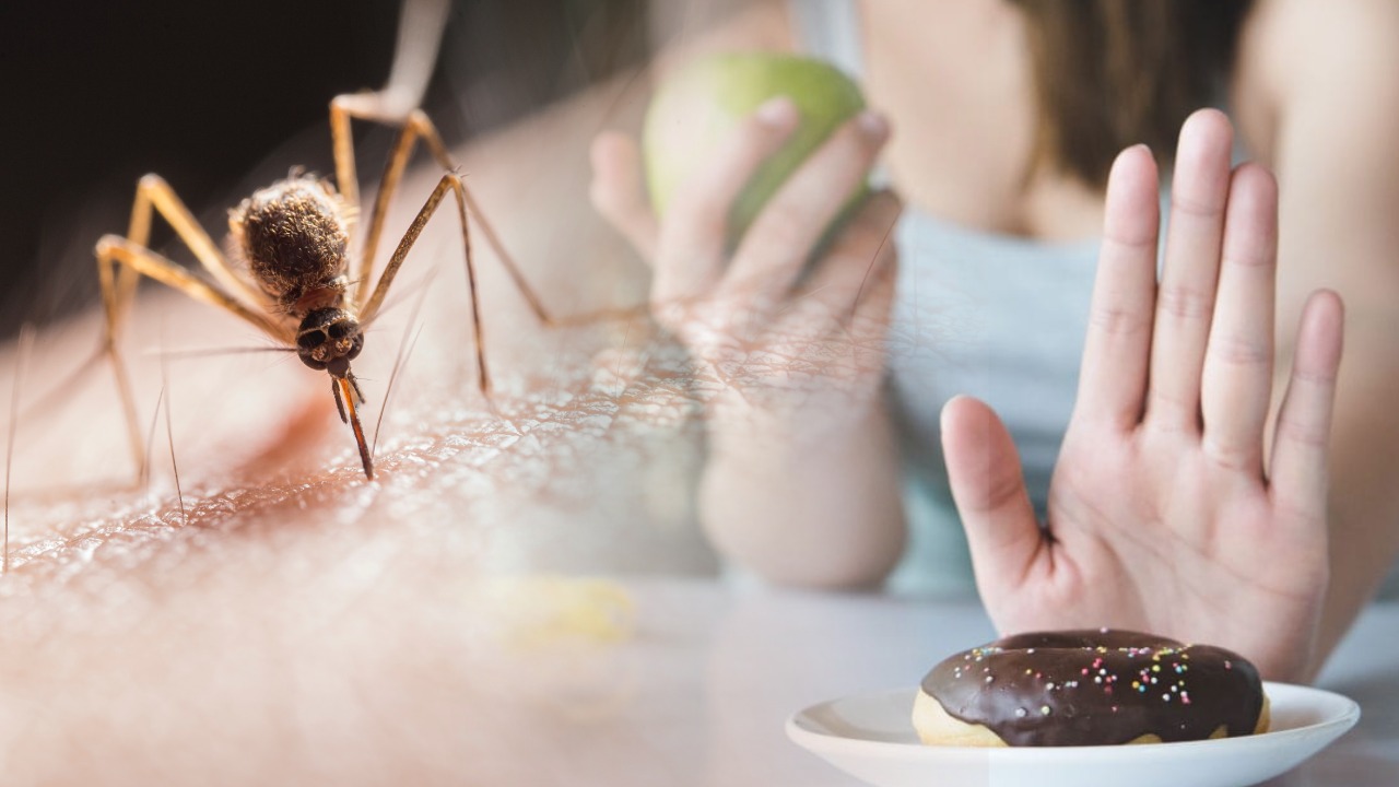 डेंगू होने पर ये डाइइट आपके प्लेटलेट्स काउंट को बढ़ाने में मददगार, वहीं इन खानों से रहे दूर