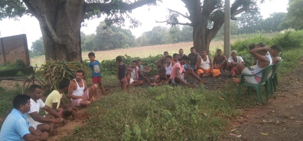 पशुपालकों की लापरवाही कृषकों पर भारी, पशु खुला छोड़ने पर हो रही फसल की बर्बादी