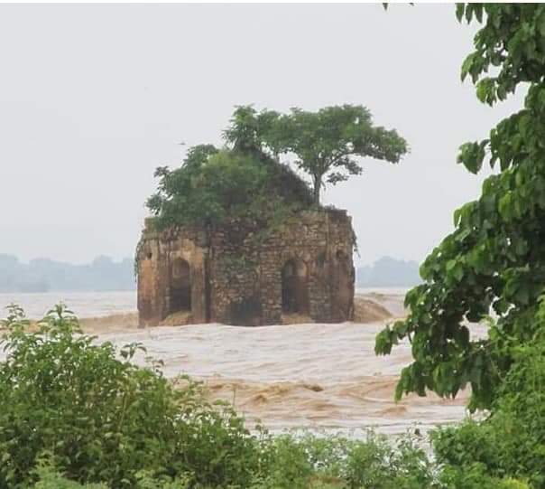 सोन नदी के बीचोबीच होगी भव्य आरती,  जानिए शाहाबाद महोत्सव में और क्या होगा खास