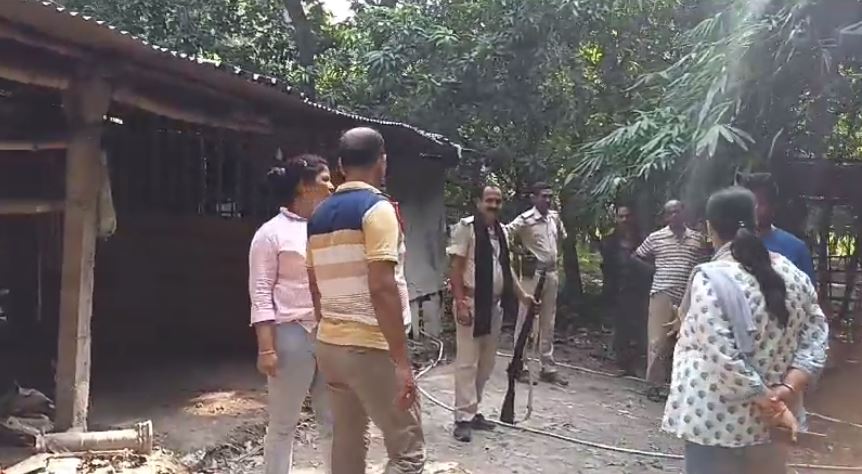 एक ऐसा गौशाला जहां दूध के बदले मिलता है विदेशी शराब, जानकार हैरान रह जाएंगे आप