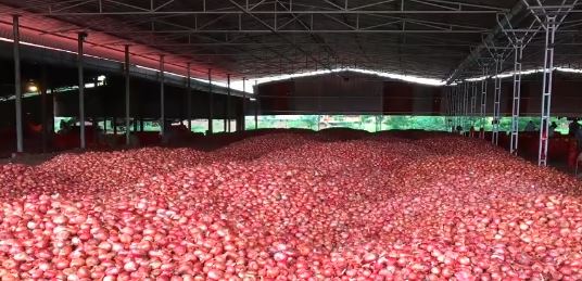 सेवा से भी महंगा बिकने की तैयारी में प्याज, झारखंड में भी लोगों के आंखों में ला रहा आंसू  