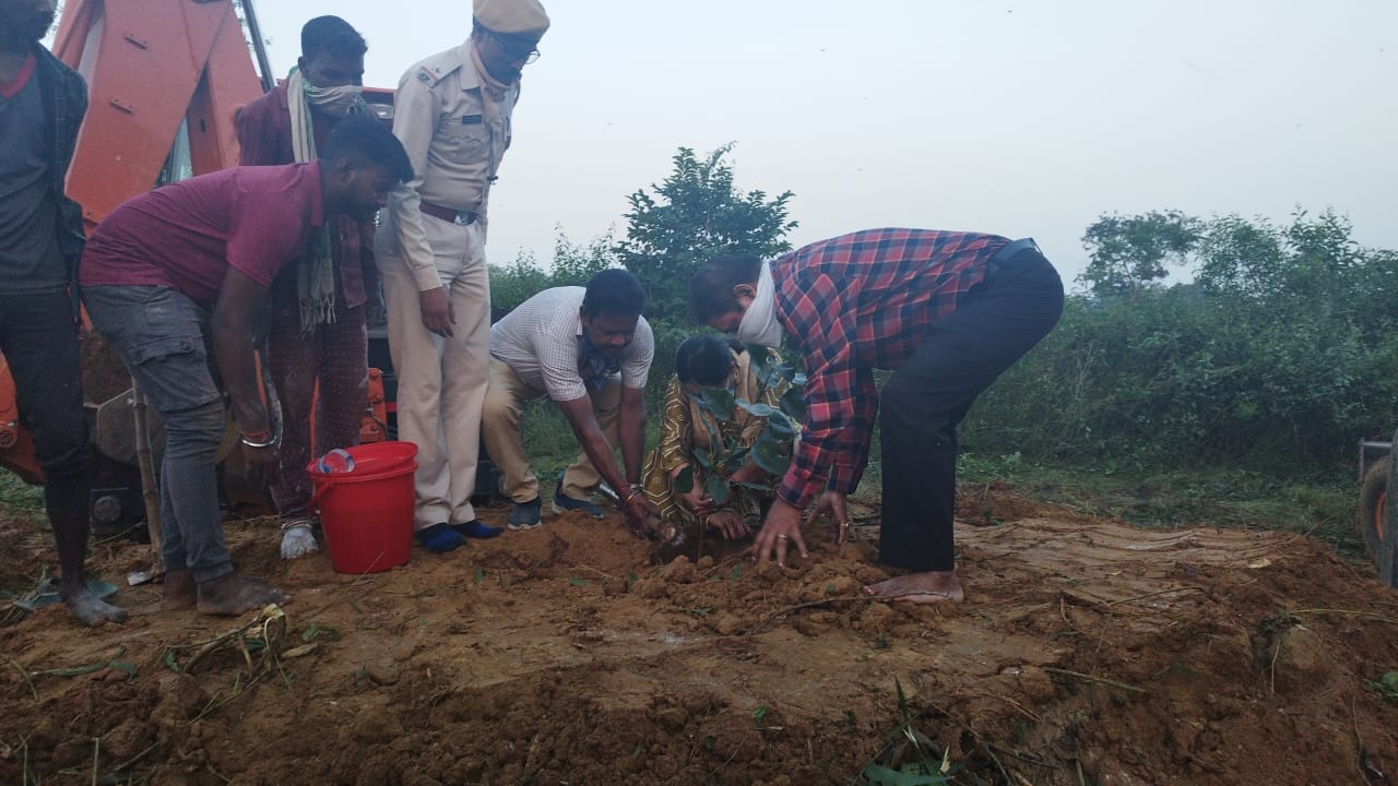जमशेदपुर:11 हजार वोल्ट तार की चपेट में आने से मादा हाथी की मौत, डीएफओ ने दिया उचित कार्रवाई का भरोसा