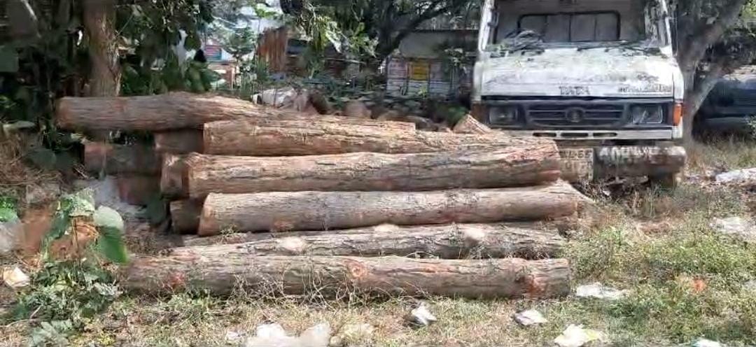 दुमका में वन विभाग ने सखुआ की लकड़ी का 25 बोटा किया जब्त, कार्रवाई के बाद भी धड़ल्ले से हो रही वनों की कटाई   