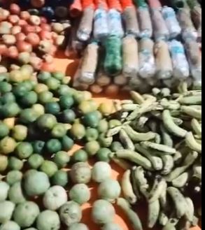 उत्तरकाशी सुरंग में फंसे एक मजदूर ने दिखाया फूड स्टॉक का वीडियो, सेव, केला और संतरा की दिखी भरमार, जानिए क्या-क्या इंतजाम था