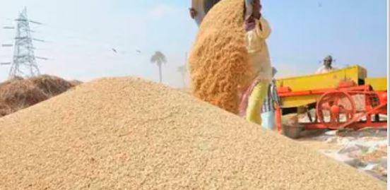 बाप रे बाप ! 3 करोड़ से अधिक के धान की हेराफेरी, कई लोगों पर हुई FIR, जाने पूरा मामला  