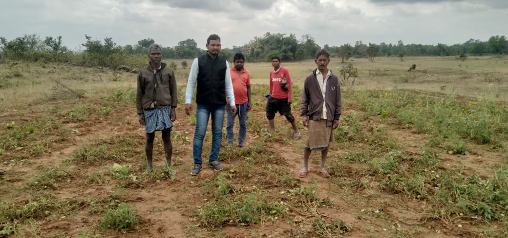 चाईबासा:गजराज के आतंक से ग्रामीण परेशान,  हाथियों ने खेतों में लगे फसलों को किया बर्बाद, पढ़ें वन विभाग से क्या है ग्रामीणों की मांग