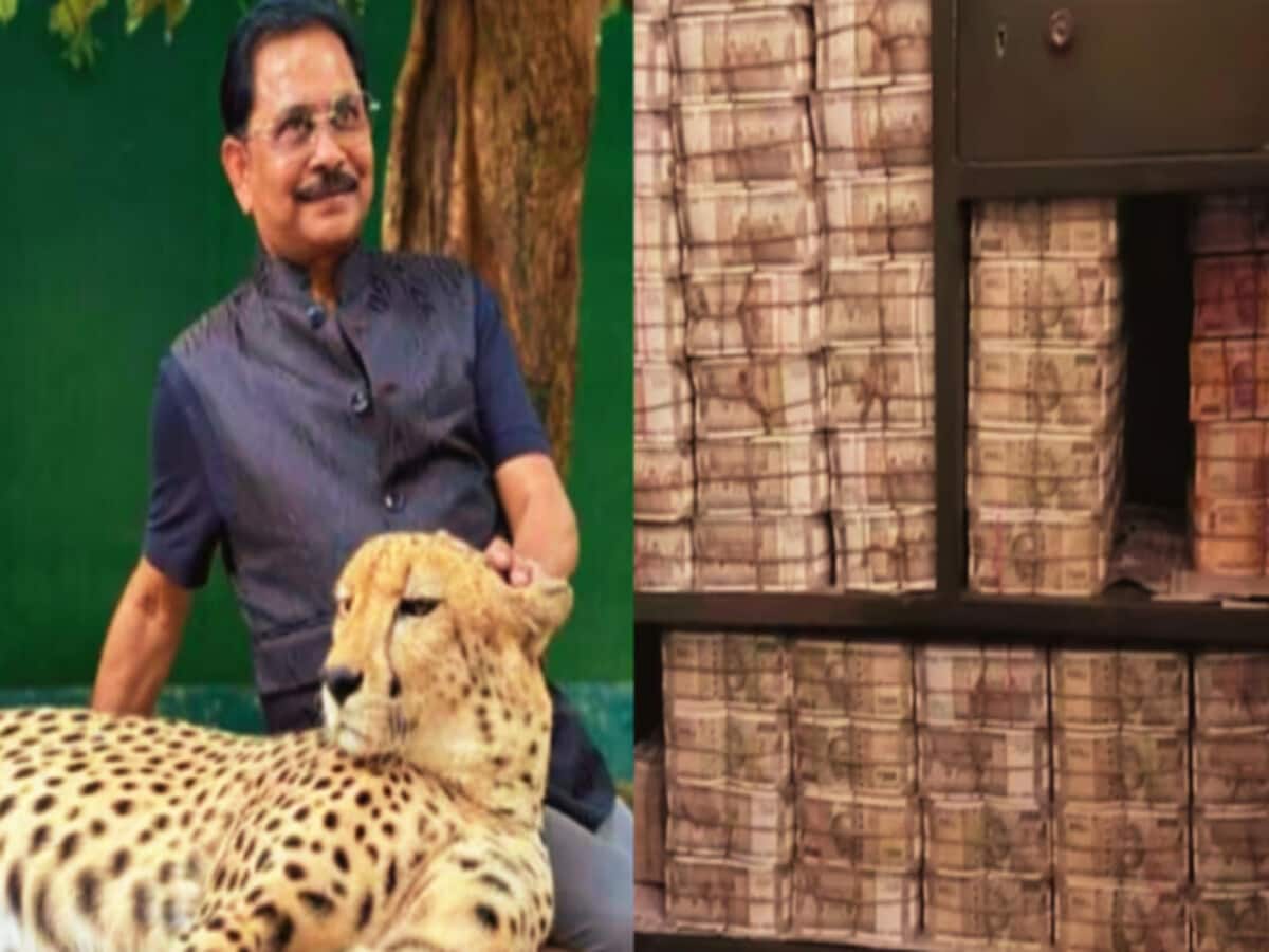 कैश कांड : आयकर की छापेमारी के बाद पहली बार धीरज साहू का आया बयान, जानिए क्या कहा 