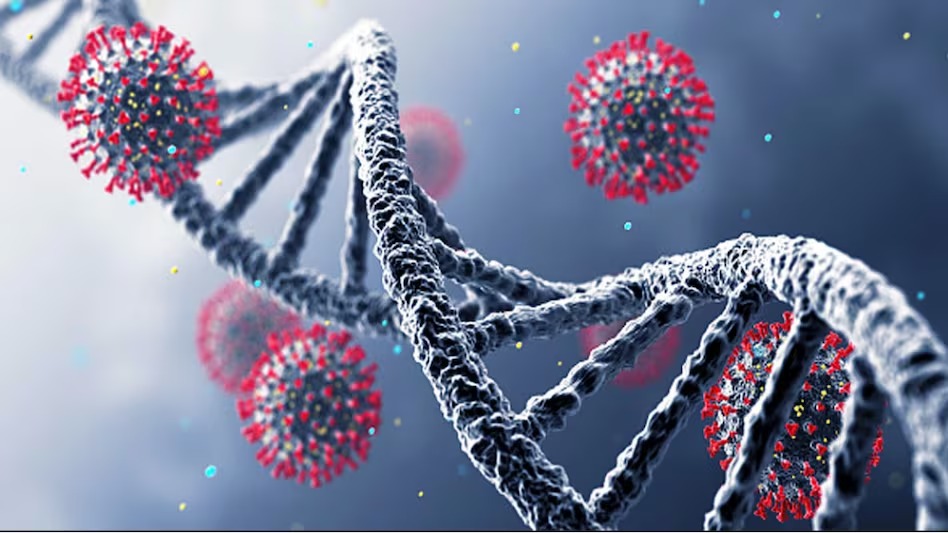 रांची : कोरोना के नए वेरिएंट को लेकर झारखंड सरकार अलर्ट, जारी हुई एडवाइजरी