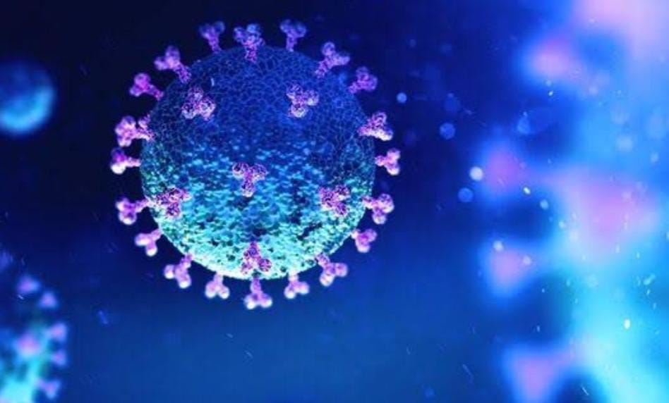 बिहार में भी कोरोना के नये वेरिएंट JN.1 को लेकर अलर्ट!  स्वास्थ्य विभाग ने जारी की एडवाइजरी, पढ़ें क्या दिया गया है आदेश   