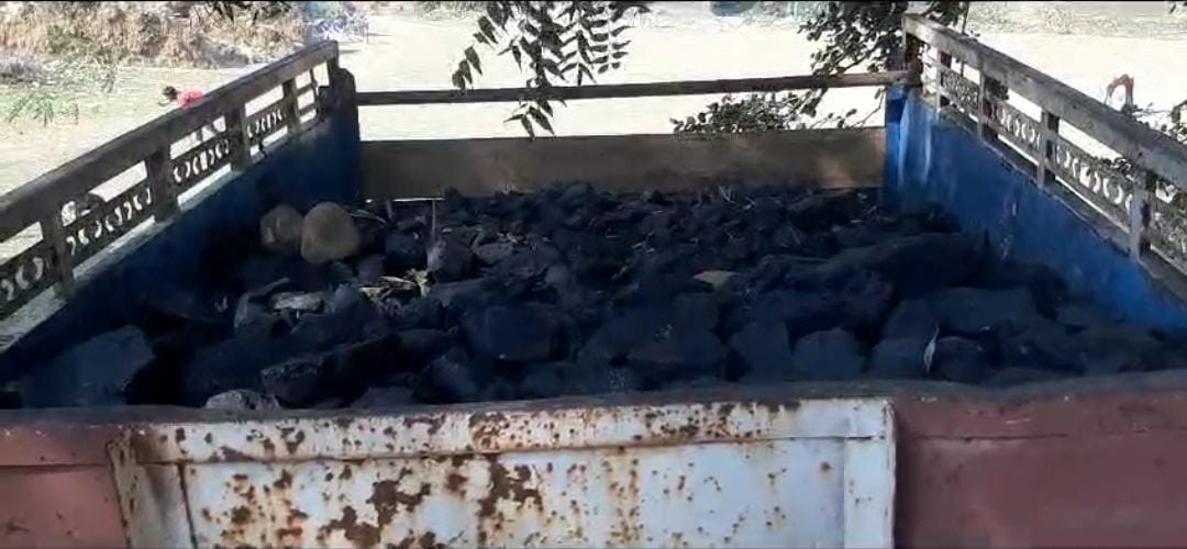दुमका में वन विभाग की बड़ी कार्रवाई, अवैध कोयला लोड पिकअप वैन जब्त, चालक फरार
