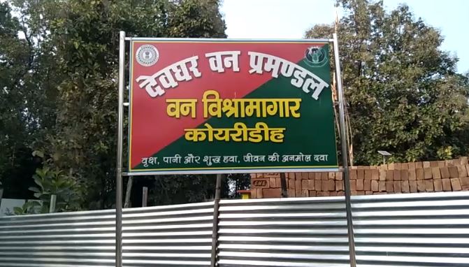 जंगल में बिताना चाहते हैं रात तो आइए देवघर का बायो डाइवर्सिटी पार्क, प्राकृतिक सुंदरता के साथ पर्यावरण संरक्षण की भी मिलेगी सीख