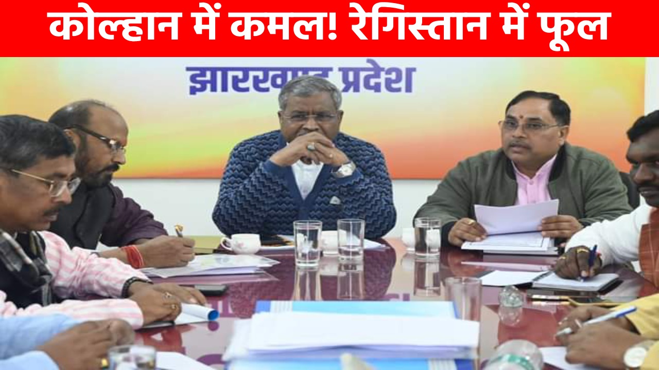 जहां टूट जाता है मोदी मैजिक का दम! हेमंत के उस "कोल्हान" में बाबूलाल खिलाने चले कमल