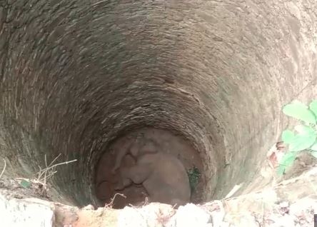 सर्दी की वो अंधेरी रात, जब कुंए में गिर गया एक हाथी... जनिए फिर आगे क्या हुआ