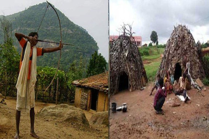 आदिम जनजाति बिरहोर से पीएम मोदी करेंगे संवाद! देखिये कैसे झारखंड के इस बस्ती में उमड़ी खुशियों की लहर