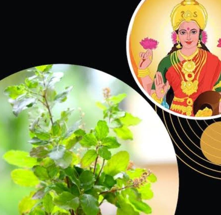 हो जाए सावधान!  6 फरवरी को होगा षटतिला एकादशी का व्रत! इस दिन भूलकर भी ना करें  ये काम, नहीं तो माता लक्ष्मी हो जायेंगी नाराज