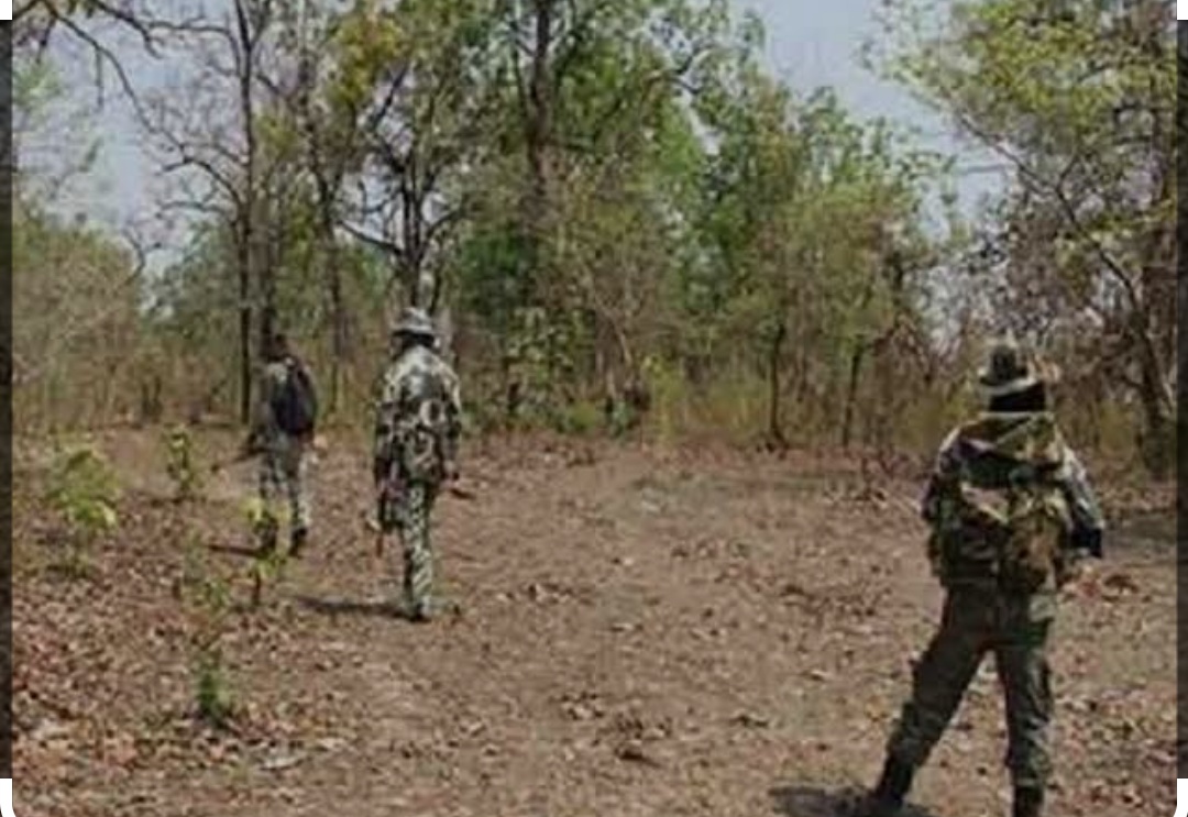 Breaking:  बोकारो के गिधौनिया जंगल में पुलिस और नक्सलियों के बीच मुठभेड़, दोनों के बीच चल रही क्रॉस फायरिंग 