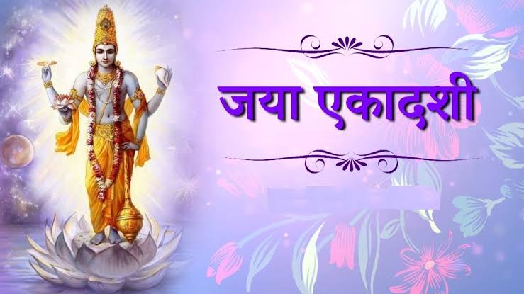 यदि आपने भी रखा है जया एकादशी का व्रत, तो जरुर करें तुलसी से जुड़ा ये चार शुभ काम, माता लक्ष्मी की बरसेगी कृपा   