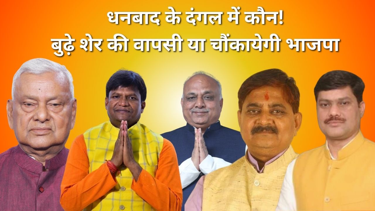 धनबाद में पी.एन सिंह का कौन हो सकता है विकल्प या फिर इसी बूढ़े शेर पर लगेगा दाव! क्या कहते है जानकार