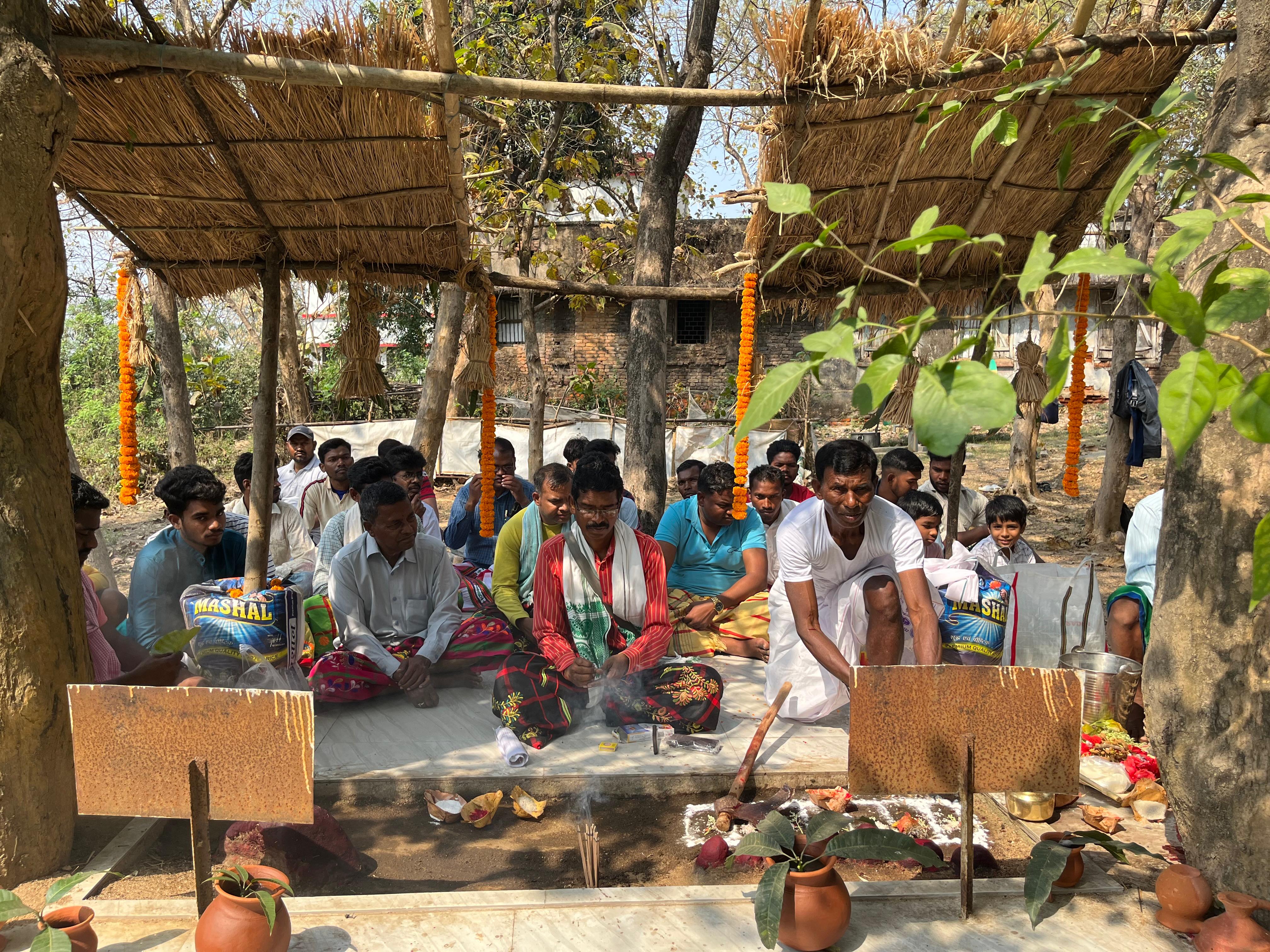 दुमका में संथाल समाज का वर्ष का प्रथम त्यौहार बाहा की धूम, पढ़ें क्यों चढ़ाया जाता है मुर्गा की बलि