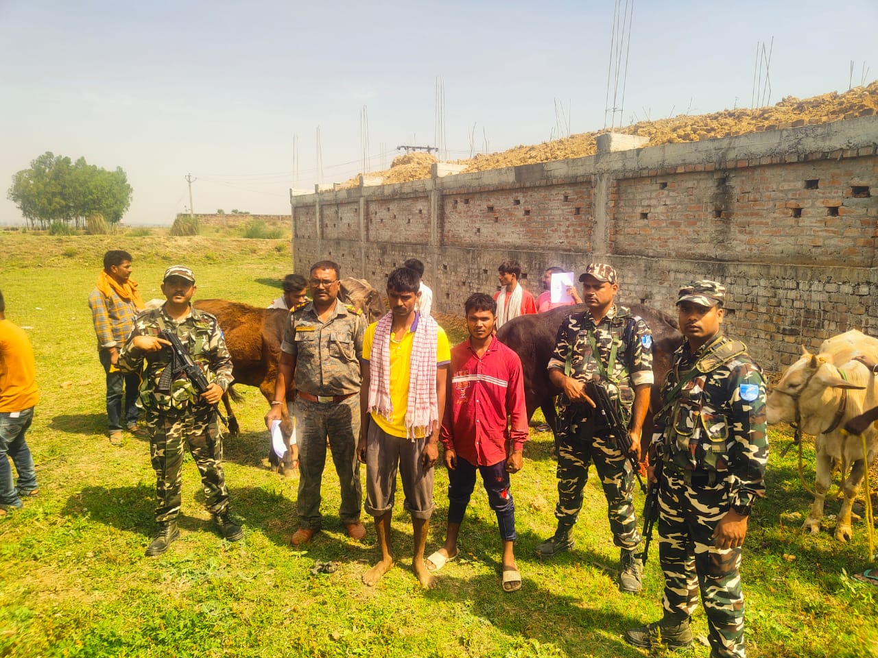 साहिबगंज में धड़ल्ले से जारी है पशु तस्करी का अवैध धंधा, बॉर्डर पर तैनात एसएसबी के जवानों ने किया बड़ा खुलासा