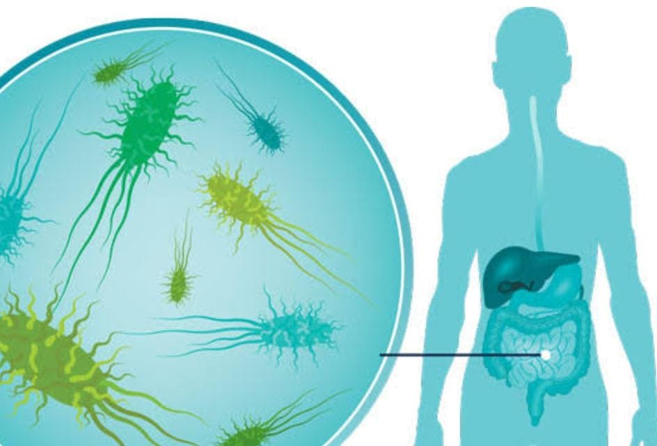 Health tips: अगर शरीर में हो गया है अच्छे बैक्टीरिया की कमी तो सप्लीमेंट की जगह खायें ये फल, पाचन के साथ ब्लड शुगर रहेगा कंट्रोल