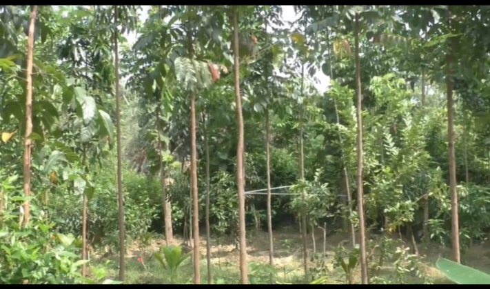 सैकड़ों पेड़ लगाकर 12 साल में बने करोडपति किसान, अब किसानों को आर्थिक रूप से बना रहे मजबूत