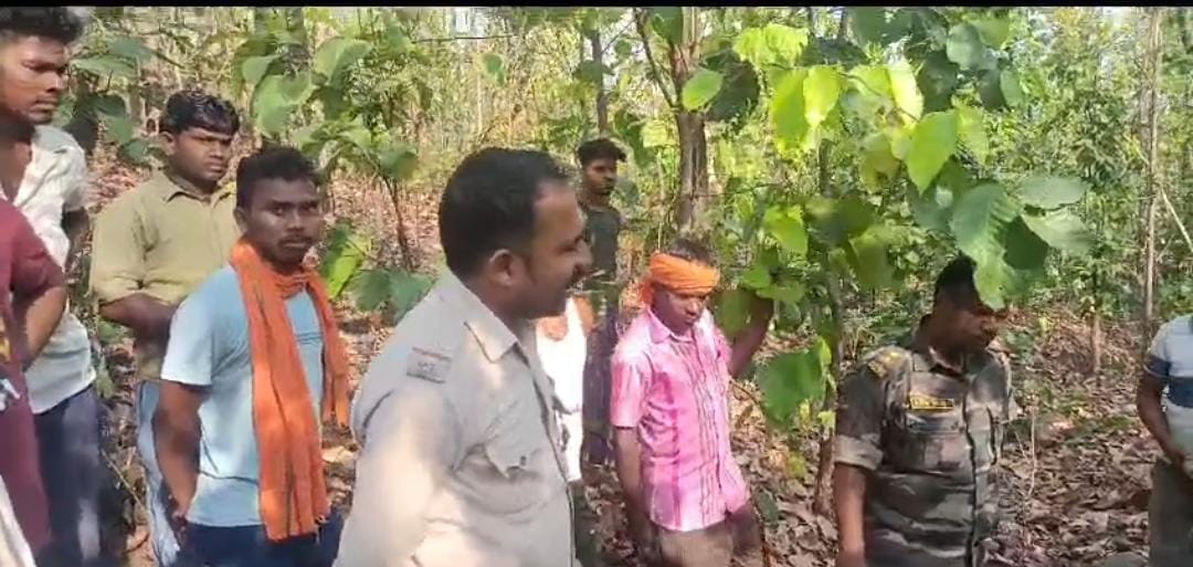 गढ़वा में हाथियों का आतंक, फिर हाथी ने एक ग्रामीण की ली जान, पढ़ें क्या कर रहा है वन विभाग