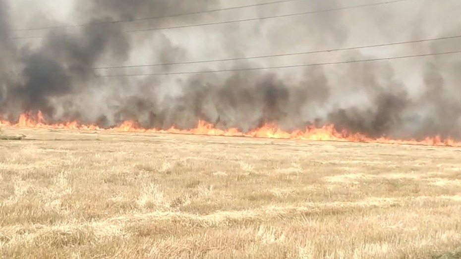 Bihar Breaking: कैमूर में आग का तांडव, 100 एकड़ में लगी गेंहू की फसल जलकर खाक, देखिए वीडियो