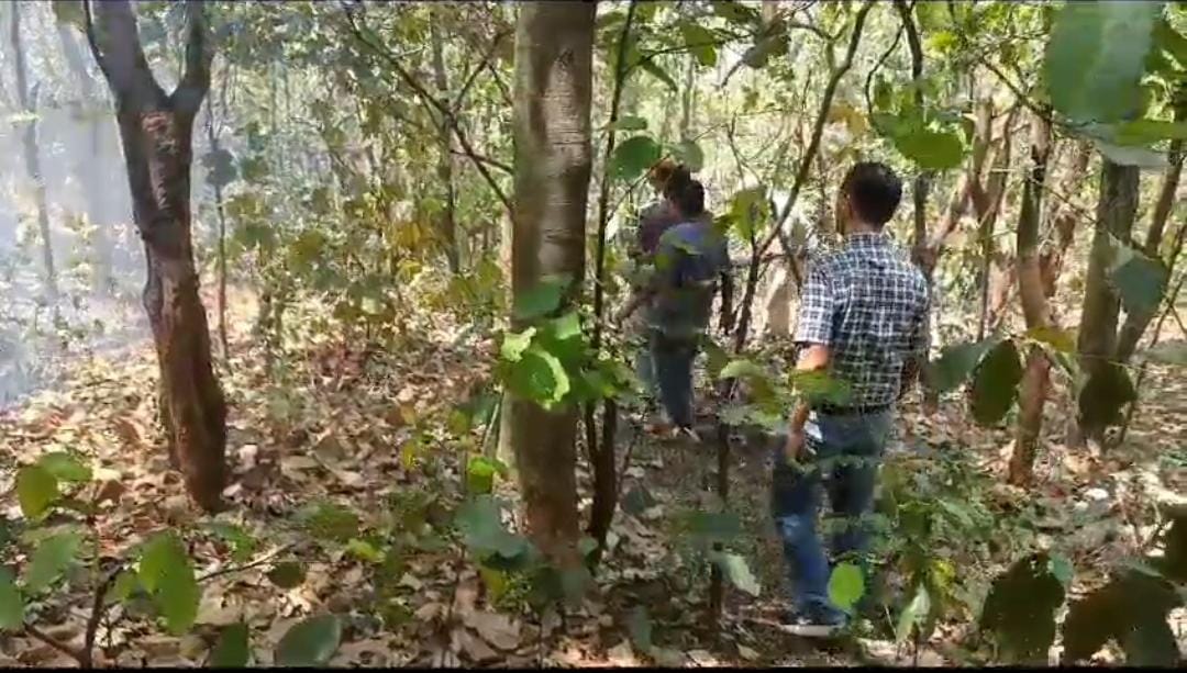 जमशेदपुर: दलमा वन क्षेत्र में पिछले कई दिनों से जारी है आग का सिलसिला, काबू पाने में जुटा वन विभाग   