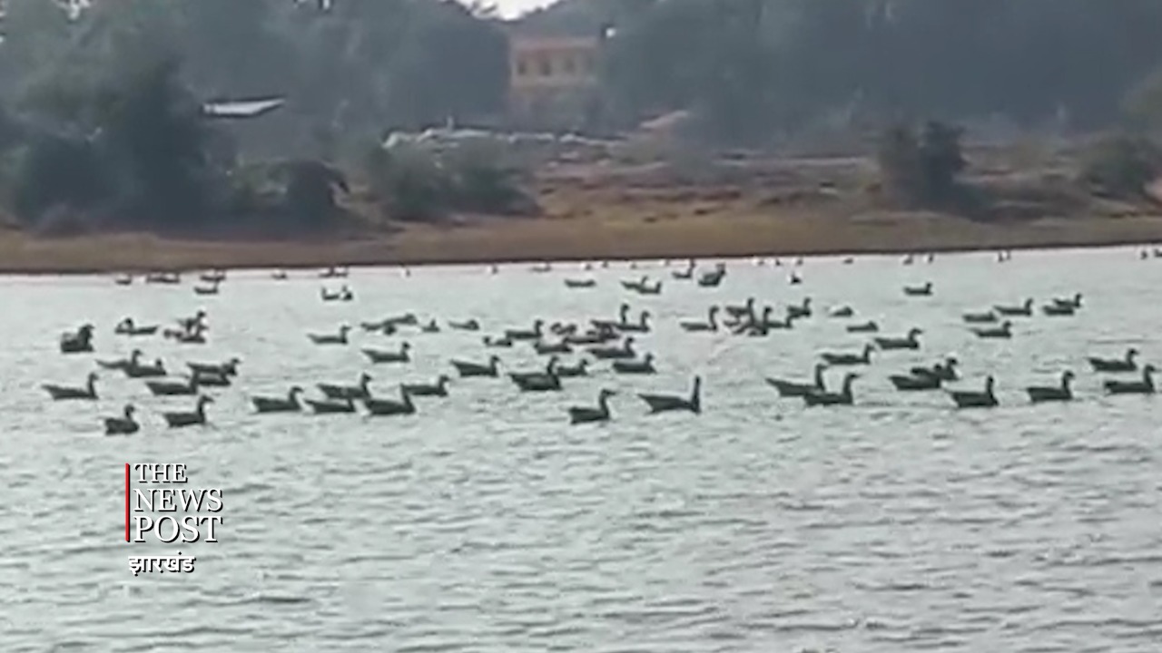 साइबेरियन बर्ड के पहुंचते ही बदली बाबा नगरी की फिजा