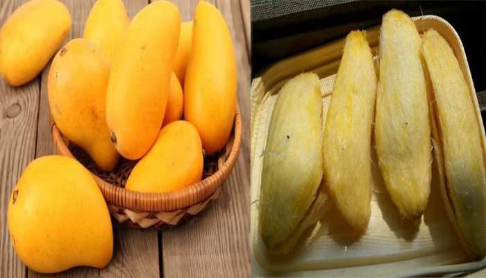 Mango Seed Benefit: आम की गुठली के भी हैं ग़ज़ब के फ़ायदे, इन सभी स्वास्थ्य समस्याओं से दिला सकता है निजात 