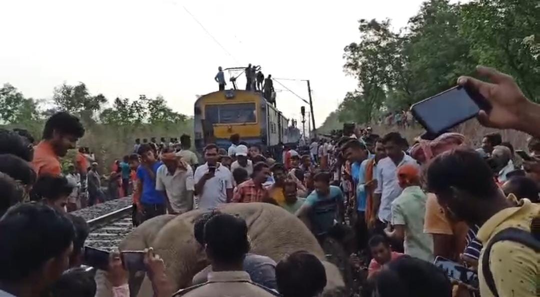सरायकेला: हाटिया रांची एक्सप्रेस ट्रेन की चपेट में आकर एक हाथी की दर्दनाक मौत, कई घंटे बाधित रहा रेलवे ट्रैक