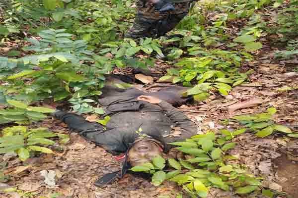 BIG BREAKING: माओवादी और सुरक्षाबलों में मुठभेड़,एक नक्सली के मारे जाने की खबर 