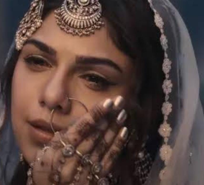 संजय लीला भंसाली की हीरामंडी हुई हिट, लेकिन भांजी शर्मिन सेगल हुई फ्लॉप, 11 साल के करियर में नहीं मिली पहचान