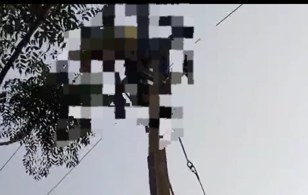 Bihar: करंट लगने से बिजली मिस्त्री की दर्दनाक मौत, खंभे पर चढ़कर जोड़ रहा था जंफर, तभी अचानक आ गई बिजली