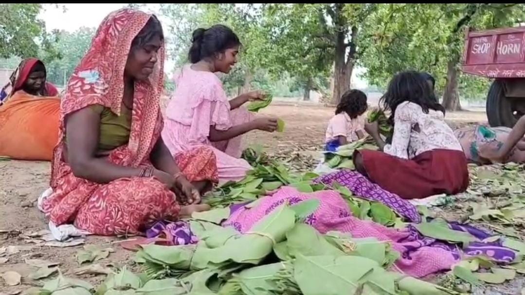 गढ़वा: बीड़ी पत्ता मजदूरों को 175 रुपए में दिन-रात कराया जाता है काम,उचित मज़दूरी नहीं मिलने से हैं दुखी 