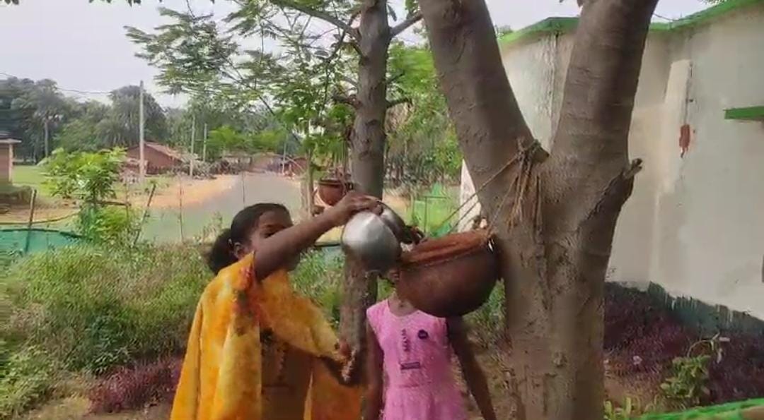 दुमका में स्कूली छात्र पेश कर रहे हैं मानवता की अनोखी मिसाल! पक्षियों को बचाने के लिए सैकड़ों जगह रखे मिट्टी के पात्र, हर रोज देते हैं पानी  