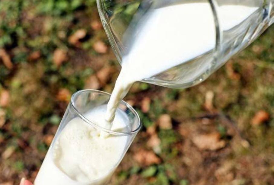 यदि आप भी रोजाना पीते है कच्चा दूध तो हो जाएं सावधान, और पढ़ें इसके फायदे और नुकसान  