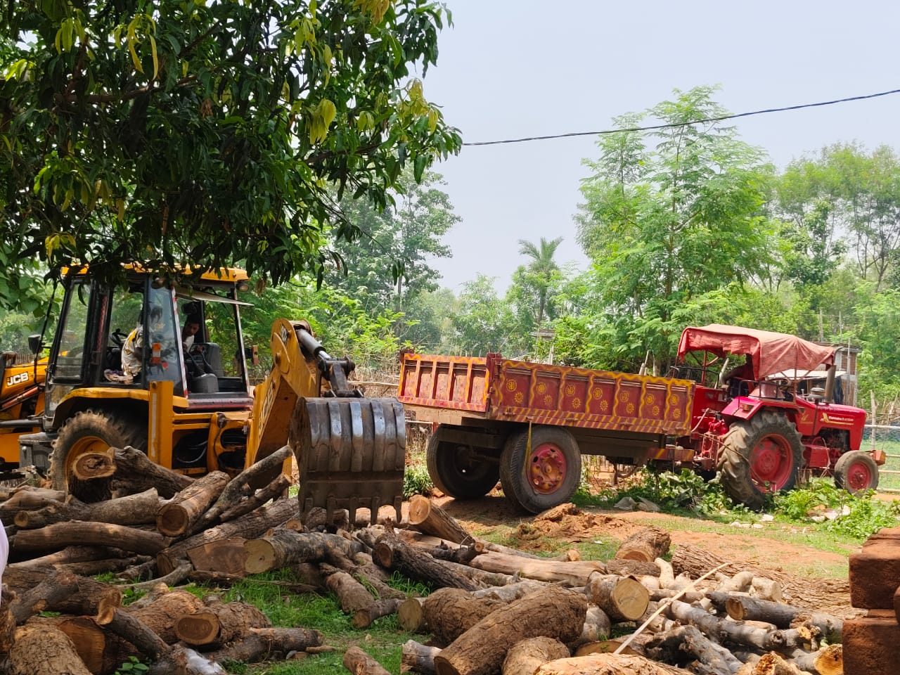दर्जनों अवैध आरा मिल पर वन विभाग की कार्यवाही के बाद शुरू हुई राजनीति, सवालों के घेरे में वन विभाग