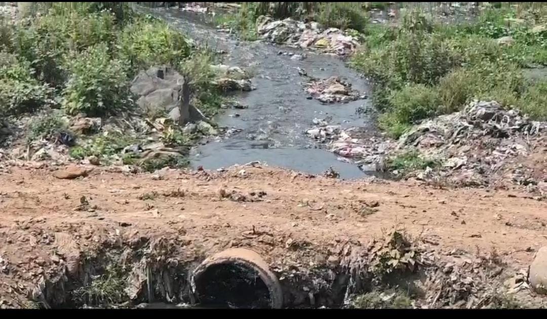 खतरे में पड़ी खड़काई और स्वर्णरेखा नदी! जमशेदपुर की लाइफ लाइन कहे जाने वाली इन दोनों नदियों का पानी हुआ दूषित 