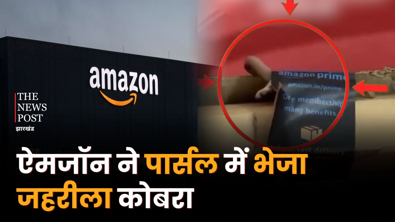 Amazon से ऑर्डर किया सामान, पार्सल खोला तो उड़ गए होश, जानिए क्या है पूरा मामला