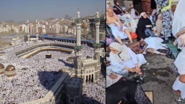हज यात्रा: 900 से अधिक जायरीन की मौत,70 भारतीय भी शामिल,सड़क पर दिख रही लाश,देखिए वीडियो