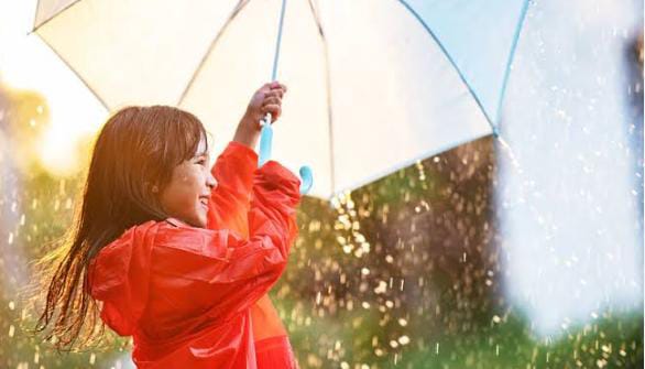 Monsoon Health Tips:मानसून में नहीं पड़ना चाहते हैं बीमार, तो अपनायें ये पांच टिप्स