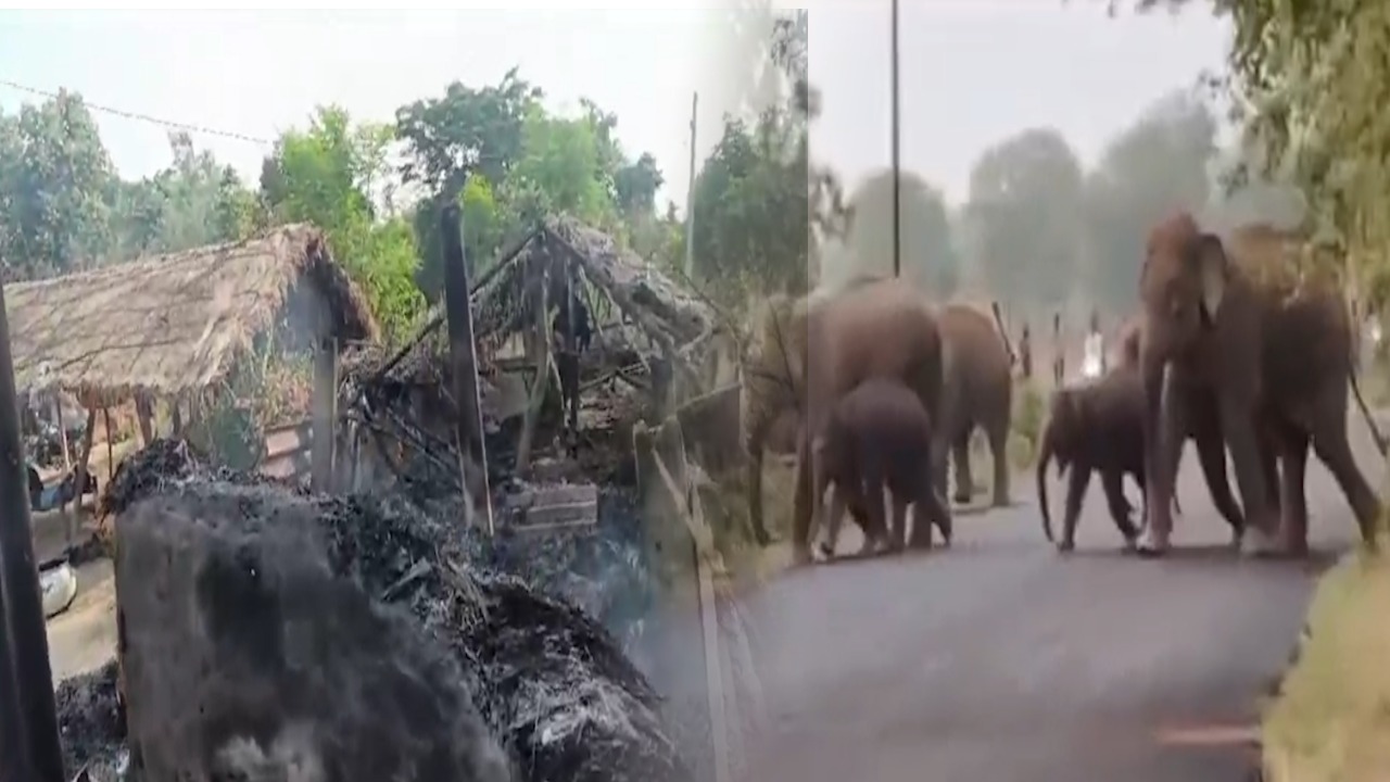 ऐसा क्या हुआ कि हाथियों के गांव से गुजरते ही धू-धू कर जलने लगा पूरा इलाका, पढ़िए पूरी खबर