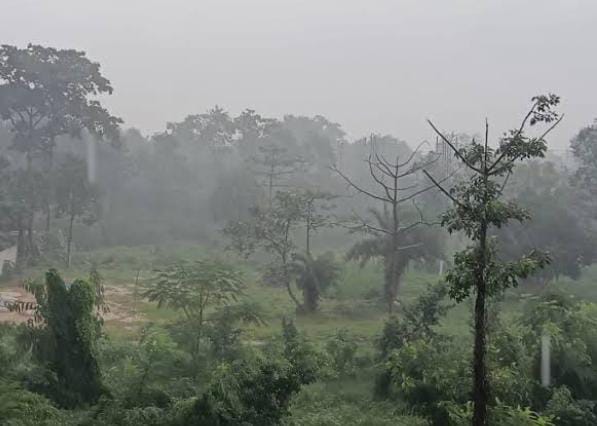 Weather Forecast:आज झारखंड में मानसून का इंतजार होगा खत्म! इन जिलों में जमकर बरसेंगे बादल, पढ़ें अपने जिले का हाल 
