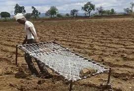 जमशेदपुर: मानसून की बेरुखी से किसानों में बेचैनी, टकटकी लगाकर कर रहे बारिश का इंतजार 