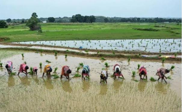 Weather Alert: झारखंड में अगले सात दिनों तक गरज के साथ बारिश के आसार, अलर्ट जारी