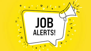 PNB Vacancy 2024: पंजाब नेशनल बैंक में अप्रेंटिस के पदों पर बंपर वैकेंसी, जल्दी करें अप्लाई 