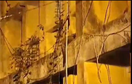 बोकारो में दिखा अजीबो गरीब जानवर, लोगो में मचा हडकंप, पढ़े इस जानवर के बारे में